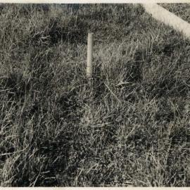 Drainage frame on a drained plot: close-up: image and reverse of card
