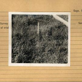 Drainage frame on a drained plot: close up: framed with index card