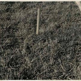 Drainage frame on an un-drained plot: close-up: image and reverse of card 