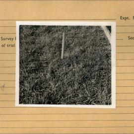 Drainage frame on an un-drained plot: close-up: framed with index card 
