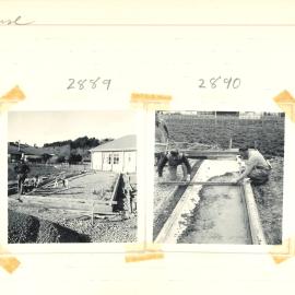 Glasshouse construction - 4