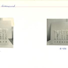 Test tubes holding plants - 2