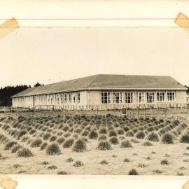 Early Grasslands site - 5