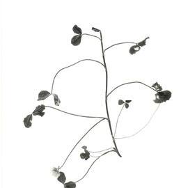 Clover against a white background - 3