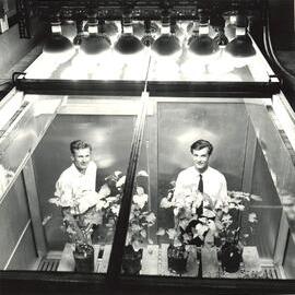 Two men with plants growing under lights