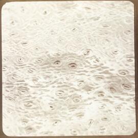 Microscopic plant cell - 4