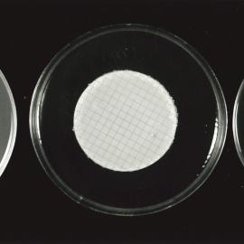 Petri dish - 5