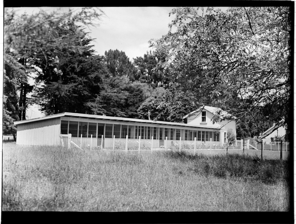 Small Animal House: front view