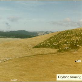 Dryland farming systems