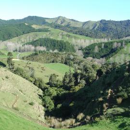 Whatawhata landscape. View 3