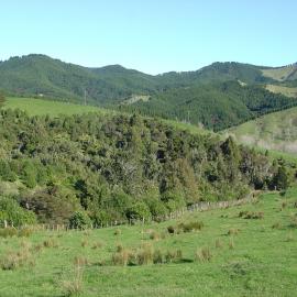 Whatawhata landscape. View 4