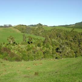 Whatawhata landscape. View 5