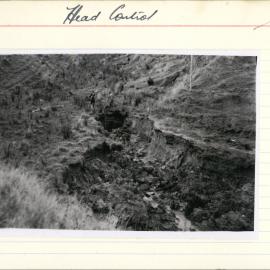 Gully head control, from above