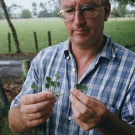 Bruce Willoughby examines white clover 