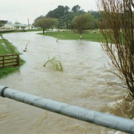 Turitea stream in flood. 1. General view
