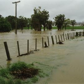 Turitea stream in flood. 5. Grasslands paddocks