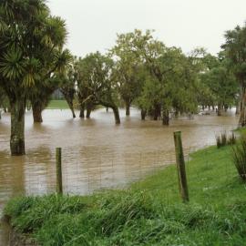 Turitea stream in flood. 8. Flooding amongst the treeline
