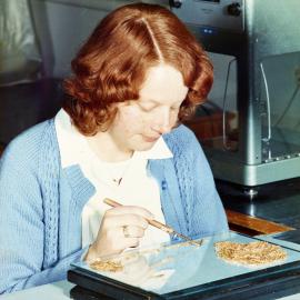 Sorting seeds in the laboratory