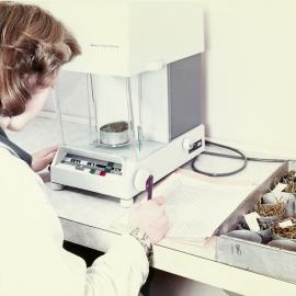 Weighing plant material