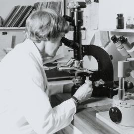 Keith Joblin looking in a microscope