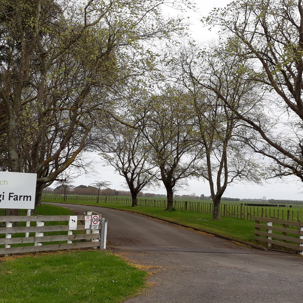 Aorangi Research Farm