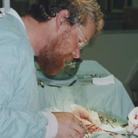 Garry Waghorn performing surgery on a sheep