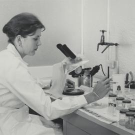In-vitro culturing of embryos