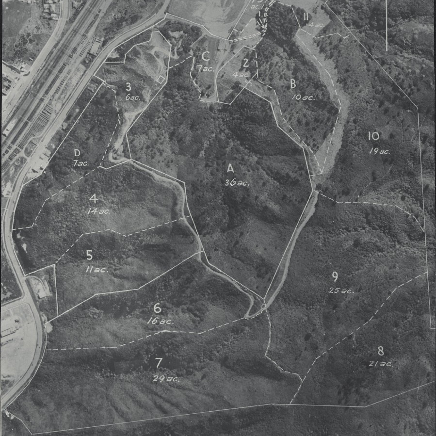 Taita Experimental Station