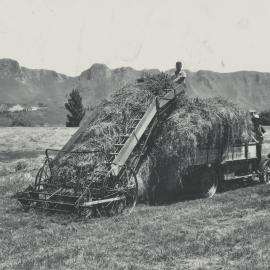 Taita Experimental Station. 2.