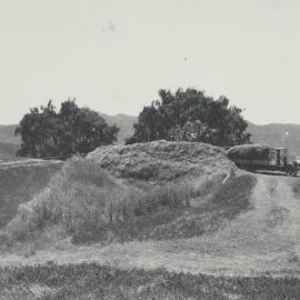 Taita Experimental Station. 3.