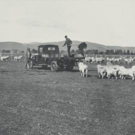 Taita Experimental Station. 4.
