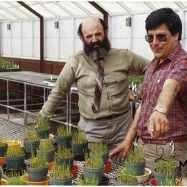 Emilio Ruz and Roger Ball inspecting plants in a glasshouse