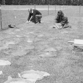 In-field seed experiment