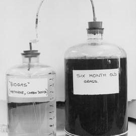Biogas flasks