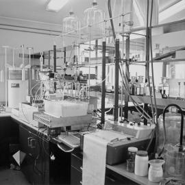 Invermay Soil Laboratory. 2. Inside the Soil Laboratory