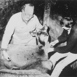 Randy Rummell and Mike Tate with deer