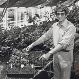 Dr Daniel Cohen with propagating trays
