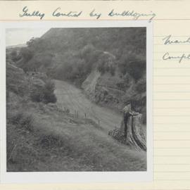 Gully control by bulldozing. 5. Work completed