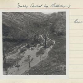 Gully control by bulldozing. 6. Runneling
