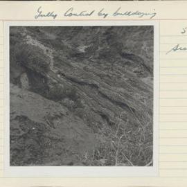 Gully control by bulldozing. 7. Scouring