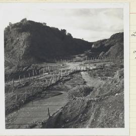 Groynes. 2. Pole planting and groynes