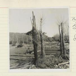 Groynes. 4. Protection of poles