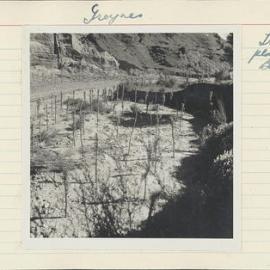 Groynes. 8. Triangular planting in bays