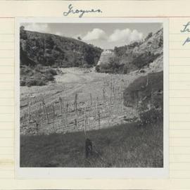 Groynes. 9. Triangular planting