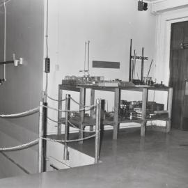 The Store, Grasslands. 5. Store items