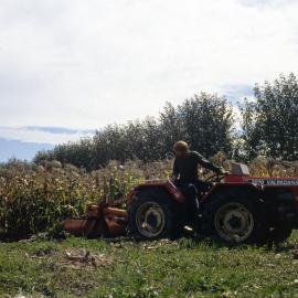 Backfilling the observation pit