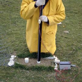 Earthworm root experiment. 1. Periscope view