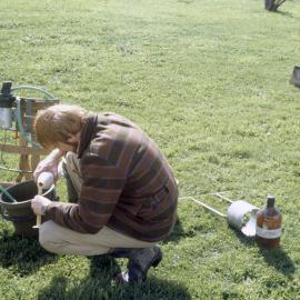 Earthworm population sampling