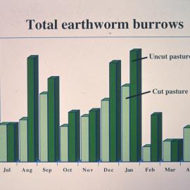 Total earthworm burrows