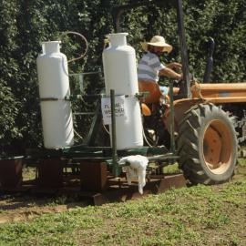 Flame weeder. 3. Rear view